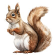 © somwut - squirrel cartoon style watercolor isolated on transparent background