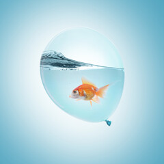 Sticker - Balloon with water and goldfish against light blue background