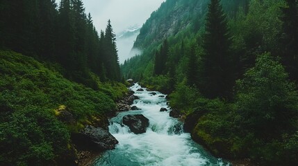 Poster - Powerful mountain stream rushing downhill with incredible force carving its way through rocks and trees in a scenic natural landscape