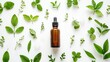 © keetazalay - A single bottle of homeopathic tincture surrounded by green spring leaves, isolated against a pure white background