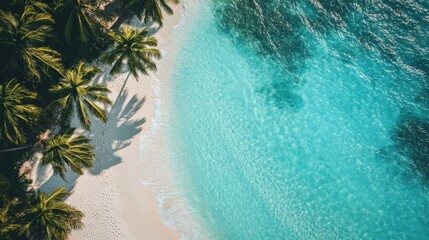 Wall Mural - Golden sands stretch along the shoreline, where gentle waves lap at the beach. Tall palm trees provide shade, creating a serene tropical paradise