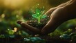 © wikkie - A hand cradles a small plant, symbolizing growth and sustainability in nature.