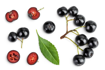 Canvas Print - Chokeberry with leaf isolated on white background. Black aronia. Top view. Flat lay