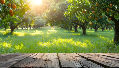 Wall Mural - Rustic wooden table showcasing farm plants, perfumes, and products amidst lush orange trees and sunlit grass in a serene natural setting