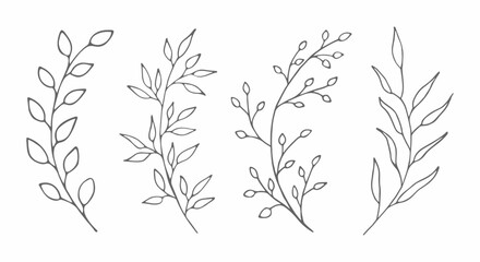 Hand-drawn clipart with branches with leaves in a minimalist line art style. Decorative botanical elements for nature-themed projects, wedding designs, or botanical art