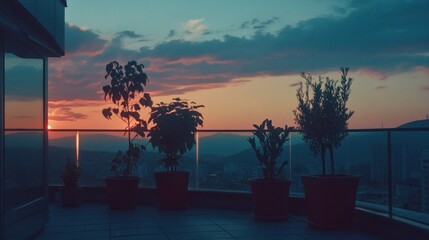 Wall Mural - A serene sunset view from a balcony adorned with potted plants.