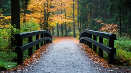 Wall Mural - A scenic road winding through a forest with colorful autumn foliage and a rustic wooden bridge spanning a stream.