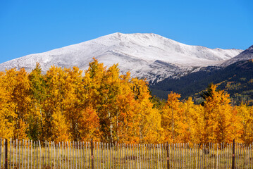 Golden Peaks: Colorado’s Autumn Mountains Against the blue Sky