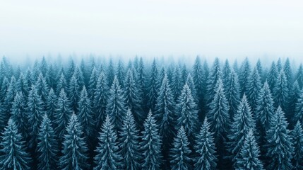 Wall Mural - Frostbitten forest from above, trees coated in thick layers of ice, everything glistening under a dull gray sky 