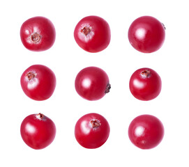 Set of ripe cranberries close up isolated on a white background