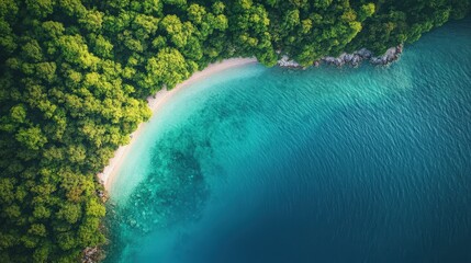 Wall Mural - A tranquil beach is bordered by vibrant green trees, with gentle waves lapping at the shore. The sunlight glistens on the turquoise waters, creating a serene atmosphere