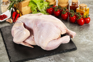 Raw whole chicken for cooking