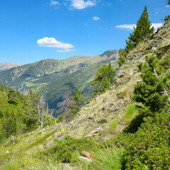 Wall Mural - Picturesque valley in high mountains. Andorra.