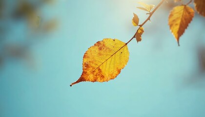 Wall Mural - Single Yellow Leaf on Branch Against Blue Sky: Autumn Minimalism