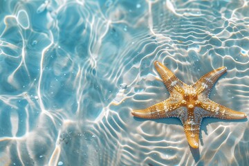 A starfish is laying on the sand in the ocean