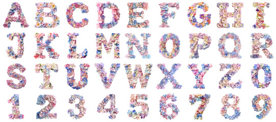 Poster - PNG Alphabet flower character pastel no bg sample mockup set english letter concept using for decoration.