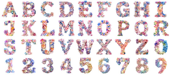 Poster - Alphabet flower pastel isolated 3d mockup without background using for all purpose.
