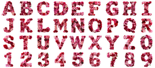 Poster - Alphabet flower rose letter transparent sample mockup isolated png with no background.