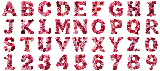 Poster - Rose flower alphabet png set collection in 3d transparent no background in character letter concept.