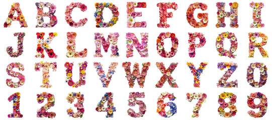 Poster - Set of alphabet flower png mockup in 3d without background for decoration.