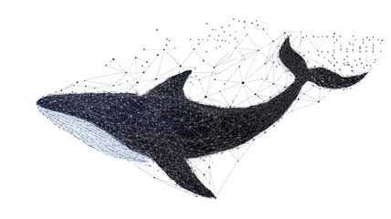 Poster - blue whale low poly wireframe abstract vector illustration, polygonal marine animal with geometric t