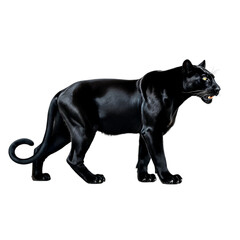 Wall Mural - black panther  ,isolated on white background , transparent png image