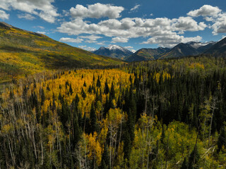 Aerial view of beautiful fall foliage with snow topped mountains in Colorado, USA