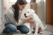 © miss irine - Woman sits on floor with cute white Boxer dog indoors. Pet adoption scene. Adult dog shows affection to female owner. Companion animal breeds. Happy moment between human and dog.
