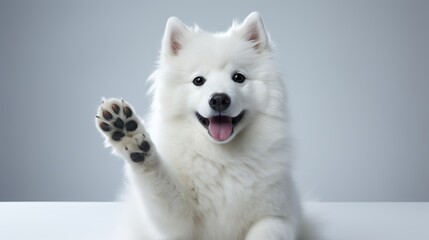 Canvas Print - Smiling White Dog Paw Up