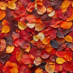 Canvas Print - Autumn small leaf wall, deep reds, and golden yellows, intricate textures, creating a warm, seasonal background.