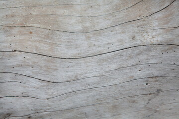 Gray wood ocean driftwood background texture, smooth beach wood