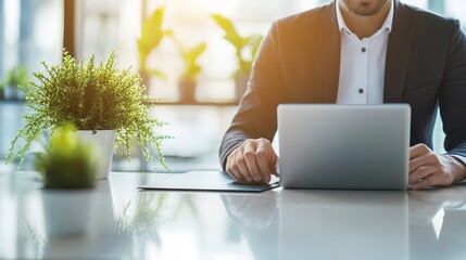 Wall Mural - Professional Man Working on Laptop in Modern Office