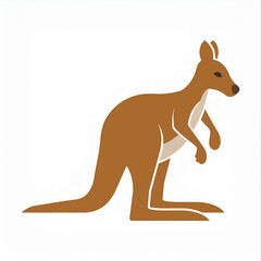 kangaroo illustration isolated on white