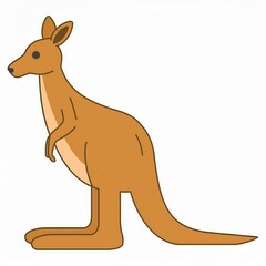 kangaroo illustration isolated on white