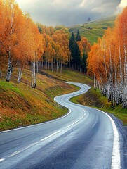 Wall Mural - Winding asphalt road through a forest with golden leaves in the autumn.