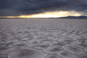 Wheat crops in northern Argentina