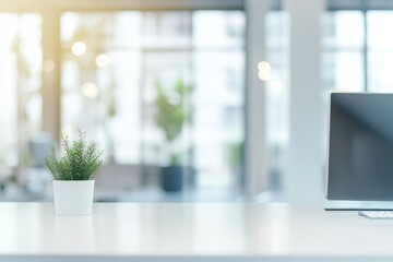 Aufkleber - Simple white desk with a plant and a computer monitor in a modern office with a blurred background.