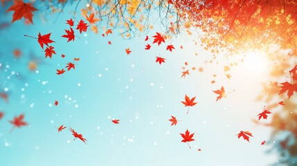 Aufkleber - Red maple leaves are falling from trees on a sunny autumn day