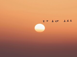 Wall Mural - Birds fly by the setting sun.