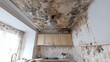 © Chatchanan - A kitchen ceiling with mold spots due to a leaking pipe, explaining how to address leaks