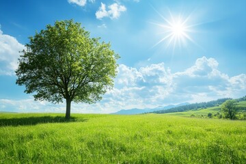 Wall Mural - a solitary tree stands tall in a green field with a mountain range in the background under a bright 