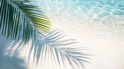 Wall Mural - Palm leaf shadow on tropical beach with