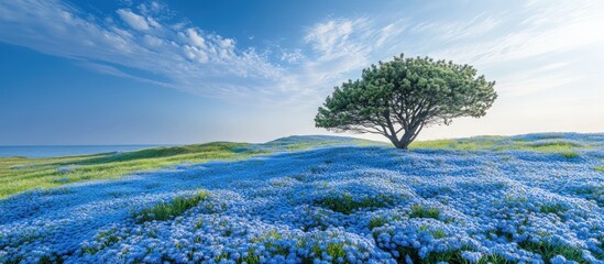 Canvas Print - A lone tree stands tall on a hilltop overlooking a vast field of blue wildflowers, with a clear blue sky and fluffy white clouds above.