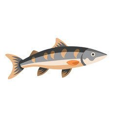 Chum salmon animal isolated flat vector illustration on white background