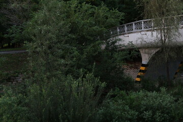 bridge over the river