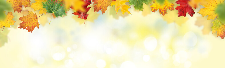 Poster - Autumn bokeh background featuring vibrant, colorful leaves with ample copy space