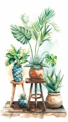 Poster - Plant setup illustrated in realistic watercolor style