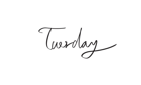 Tuesday calligraphy text hand written lettering black dark color decoration ornament symbol sign week design calendar positive motivation emotion graphic holiday fashionable law word greeting computer