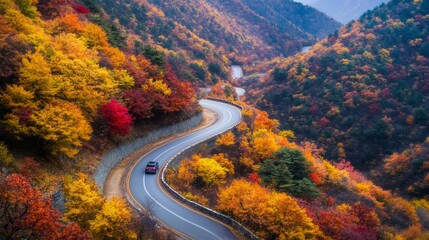 Poster - The road is narrow and curvy, and the trees are tall and leafy