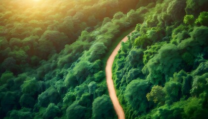 Wall Mural - Sunlit Pathway Through Lush Green Forest Embodying Sustainability in ESG Practices